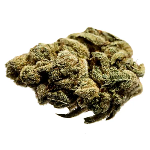 Product image of Orange Layer Cake - Potluck - Dried Flower