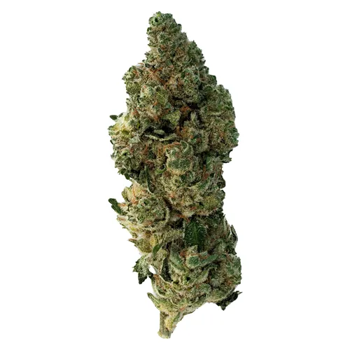 Frosted Swirl - The Loud Plug - Dried Flower
