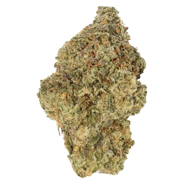 Product image of Bubble Pop Cake - Carmel - Dried Flower