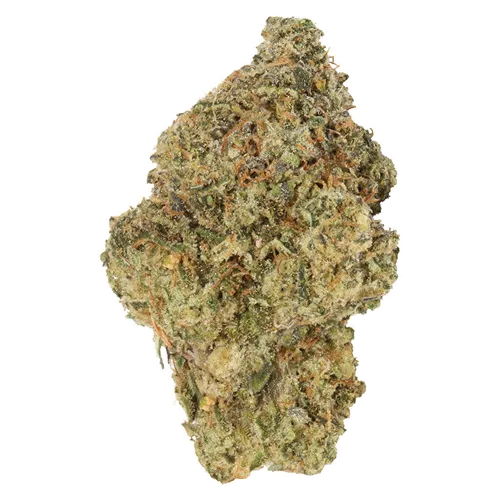 Product image of Bubble Pop Cake - Carmel - Dried Flower