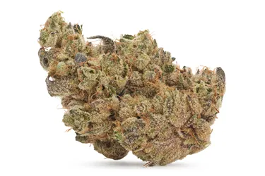 Product image of Platinum Pavé - Broken Coast - Dried Flower