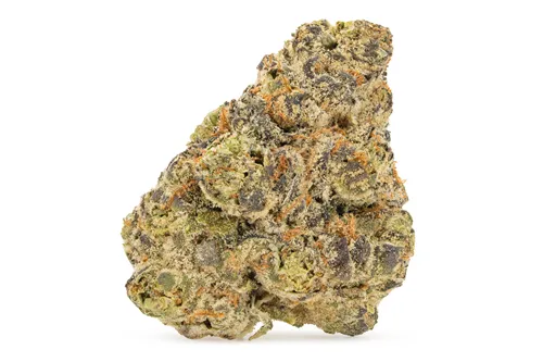Product image of GMO X F.P.O.G - Sticky Scissors - Dried Flower