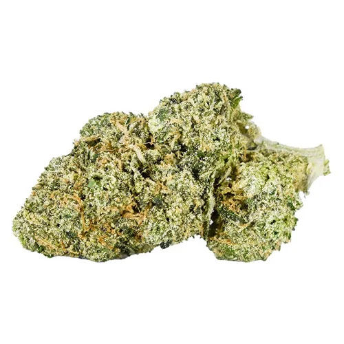 Product image of 9 lb Hammer - CALI - Dried Flower