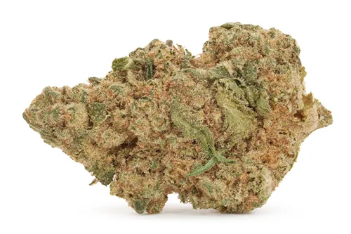 Bubba Kush - Versus - Dried Flower