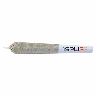 Product image of MacCandy - 1Spliff - Joints