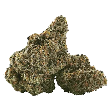 Product image of 100K - DEALR - Dried Flower