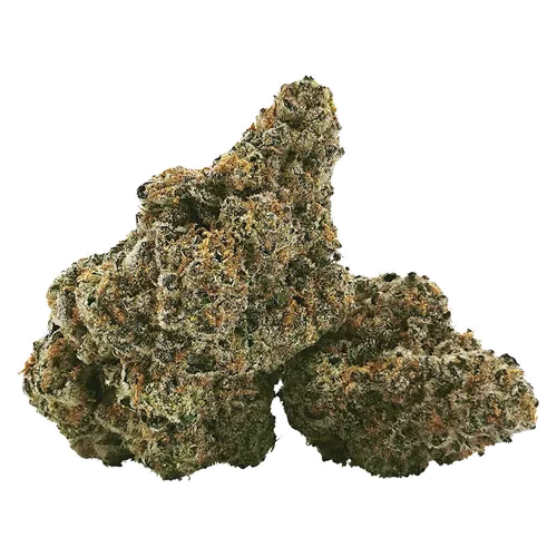 Product image of 100K - DEALR - Dried Flower