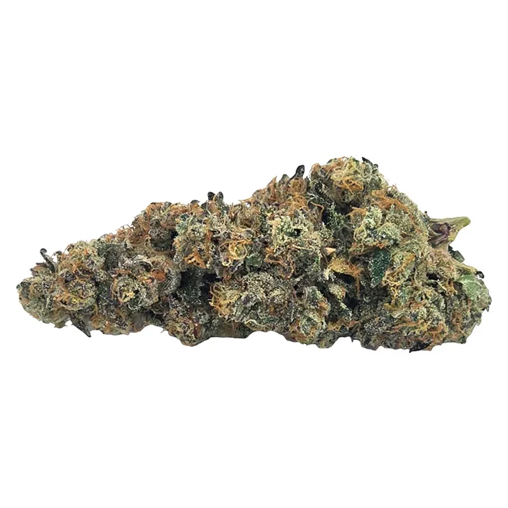 Product image of Peggys Puff - Truro - Dried Flower