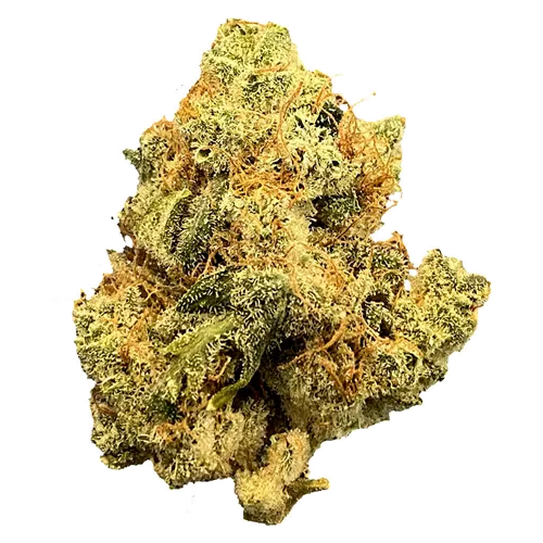 Product image of Mailman Strain: Ultraviolet Gmo - MailMan - Dried Flower
