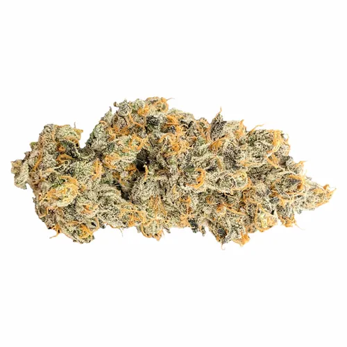 Jealousy x Apples & Bananas - Truro - Dried Flower