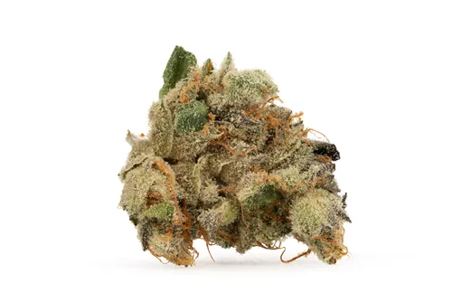 Product image of Cherry Marshmallowz - Book Club - Dried Flower