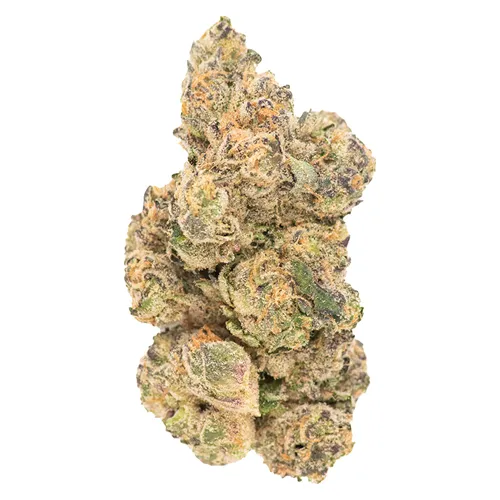 Product image of Black Garlic - Choklit Park - Dried Flower