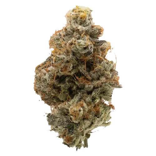 Product image of Atomic Marker - Northern Canna - Dried Flower