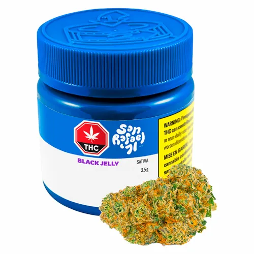 Product image of Black Jelly - San Rafael '71 - Dried Flower