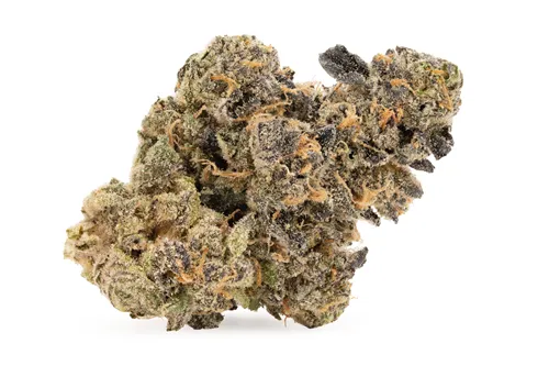 Product image of Bubblegum Marker - Castle Rock Farms - Dried Flower