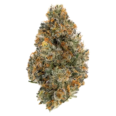 Product image of Frosted Tiger Nuts - Northern Canna - Dried Flower