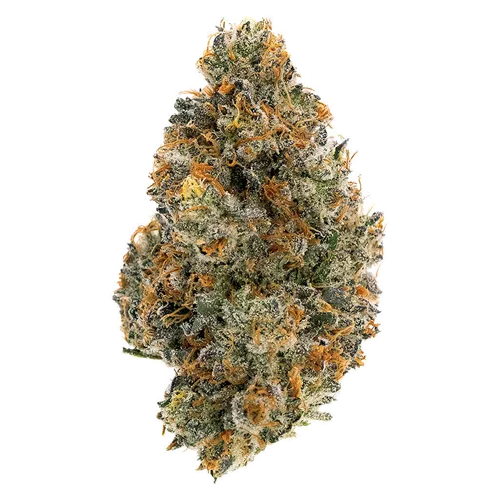 Product image of Frosted Tiger Nuts - Northern Canna - Dried Flower
