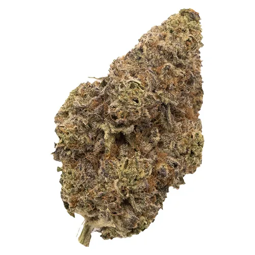 Product image of Chatty Kathy - FIGR - Dried Flower
