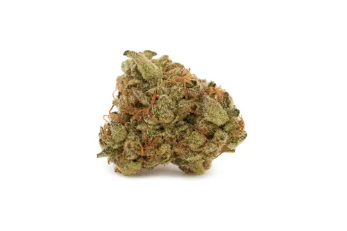 Upside Down Cake - BLK MKT - Dried Flower