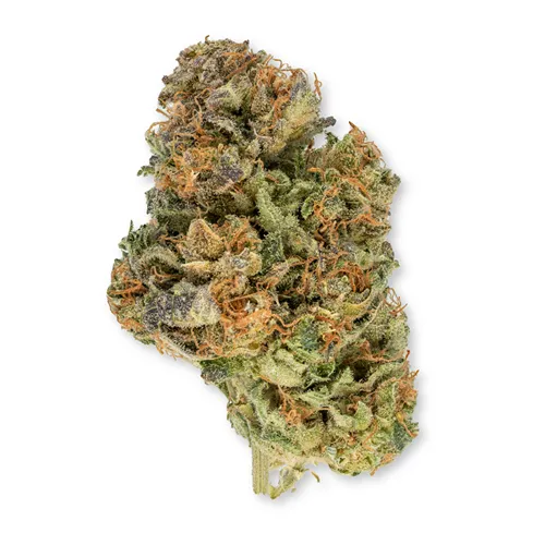 Product image of Berry Smasher - Muskoka Grown - Dried Flower
