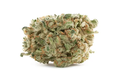 Keylime Kush - Lotus - Dried Flower