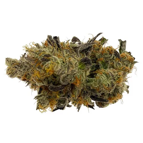 Product image of Blue Iguana - Homage - Dried Flower