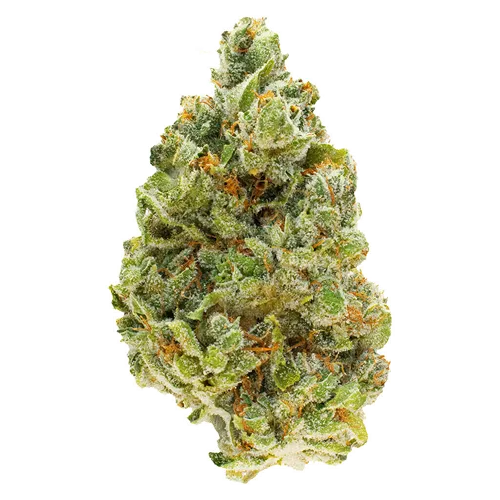 Product image of Strawberry Pavé - FOUR54 - Dried Flower