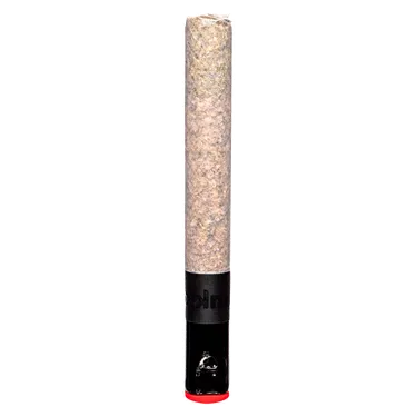 Product image of The Magnum - BLKMKT - Joints