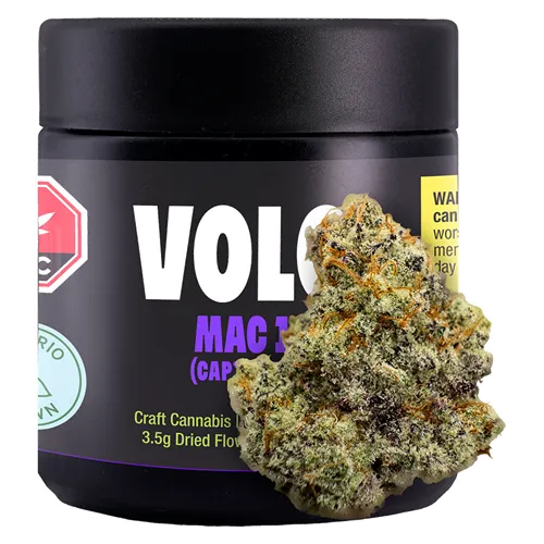 Product image of MAC-1 (Cap's Cut) - Volo - Dried Flower