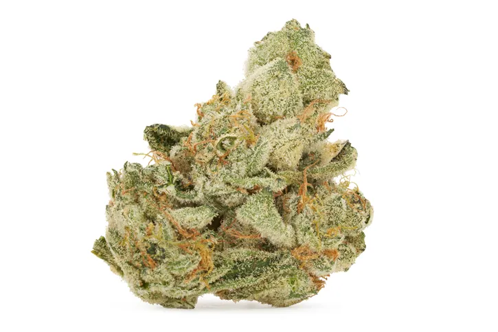 Product image of Pink Kush Mints - Big Bag O' Buds - Dried Flower
