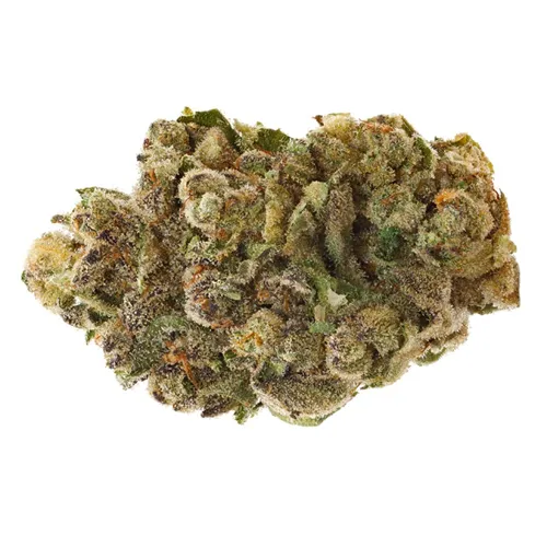 Product image of Farm Gas - San Rafael '71 - Dried Flower