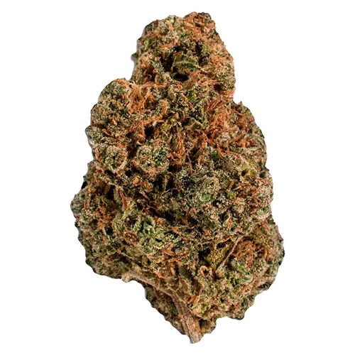 Product image of King's Counsel - Cannabis Cartel QUADS - Dried Flower