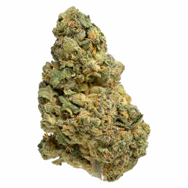 Product image of 11 Week Pink - Pepe - Dried Flower