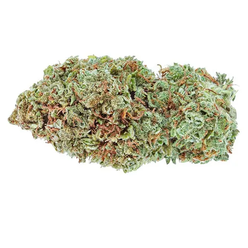 Product image of Amsterdam Sativa - Highly Dutch - Dried Flower