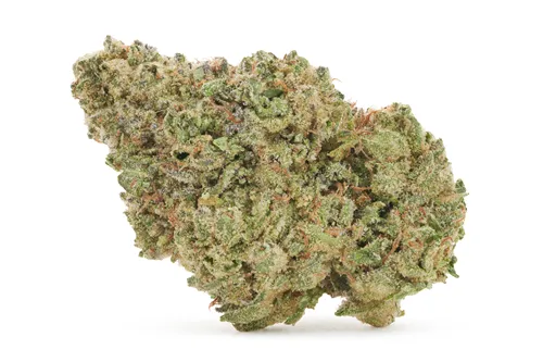Product image of Hawaiian Marker - Tuck Shop - Dried Flower