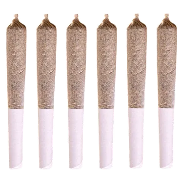Product image of Jack Herer - Station House - Joints