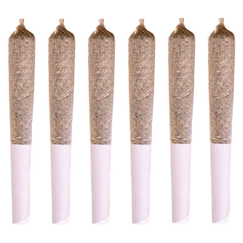 Product image of Jack Herer - Station House - Joints