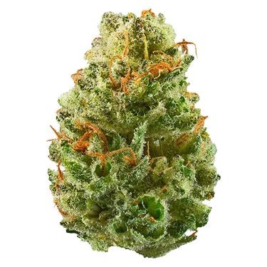 Product image of Strawberry Cough - Potluck - Dried Flower