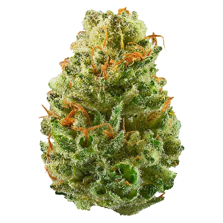 Product image of Strawberry Cough - Potluck - Dried Flower