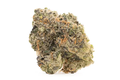 Product image of Fruitloops & Fuel - Forbidden Forest - Dried Flower