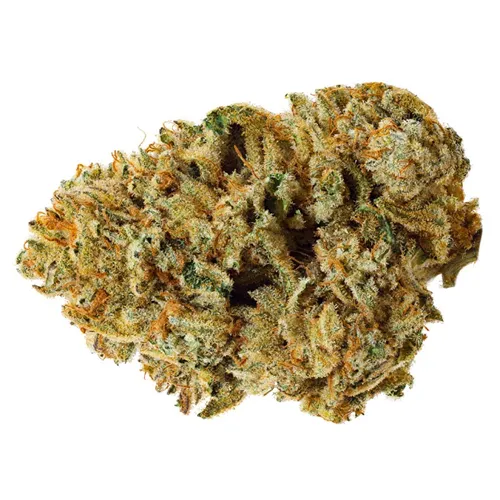 Product image of Alien Cake 3030 - Drift - Dried Flower