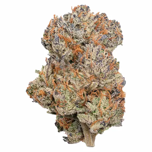 Product image of Permanent Marker - Coterie - Dried Flower