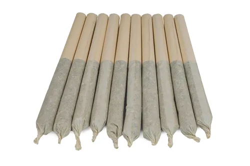 Pennywise 1:1 - Pure Sunfarms - Joints