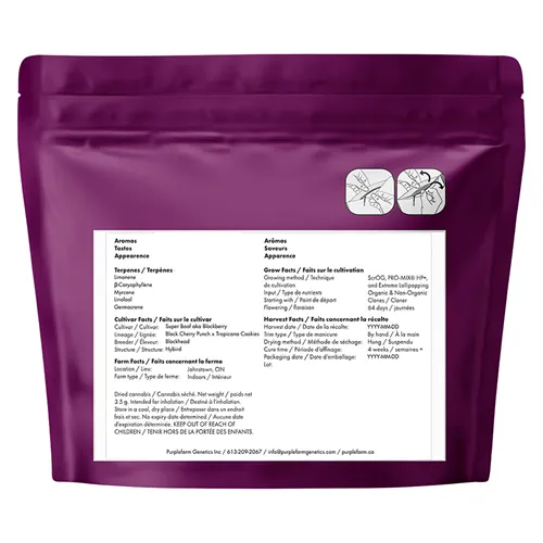 Super Boof - PURPLEFARM - Dried Flower