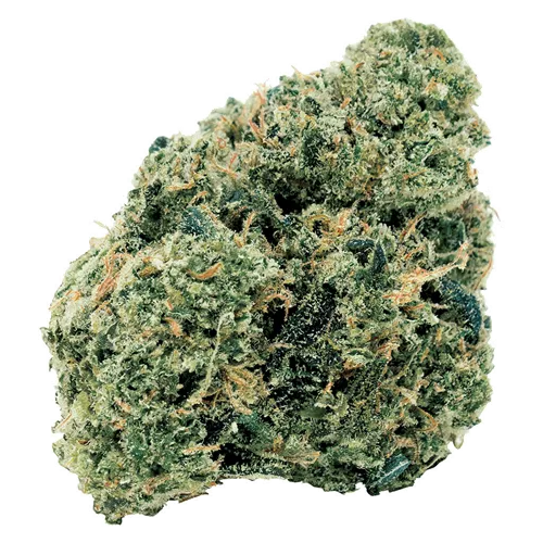 Northern OG Kush - 7Acres - Dried Flower