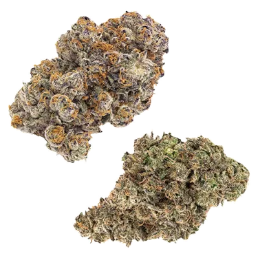 Product image of Duos: Jungle Fumes & Kandy Cake - Dried Flower - FIGR - Variety Flower