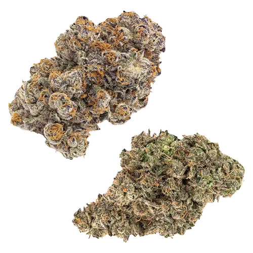 Product image of Duos: Jungle Fumes & Kandy Cake - Dried Flower - FIGR - Variety Flower