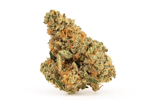 Product image of BC Organic Mandarin Octane - Coast Mountain Cannabis - Dried Flower
