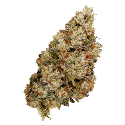 Alaskan TF - Top Leaf - Dried Flower