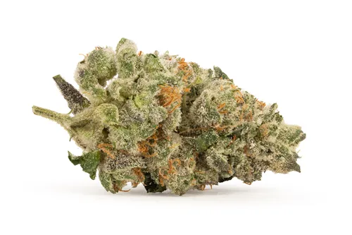 Product image of Melted Strawberries - Good & Baked - Dried Flower